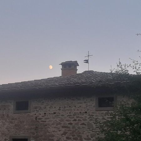 Podere Pian Di Mulino Cortona Exterior foto